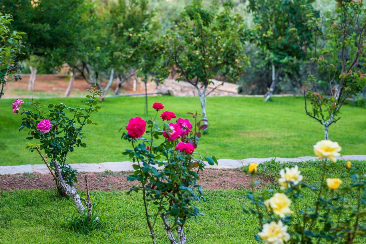 Ελαιών Apartments/Eleon Apartments Korissia  Экстерьер фото