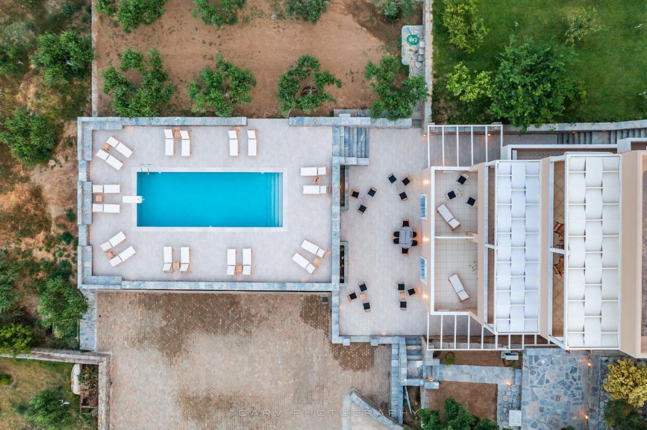 Ελαιών Apartments/Eleon Apartments Korissia  Экстерьер фото